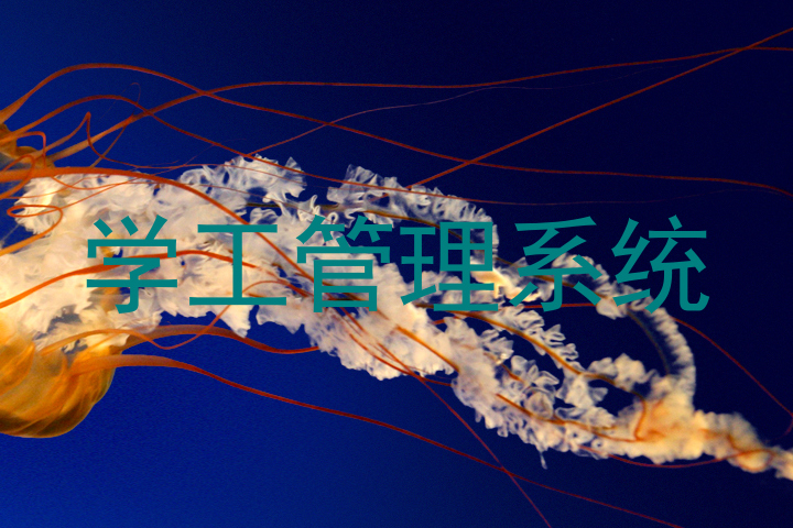 学工管理系统