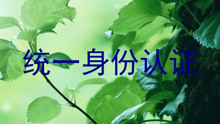 统一身份认证