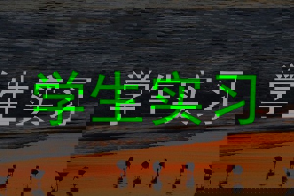 学生实习