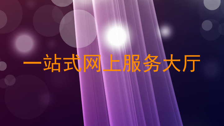 一站式网上服务大厅