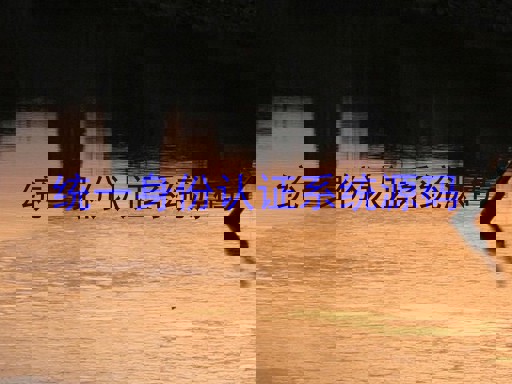 统一身份认证系统源码