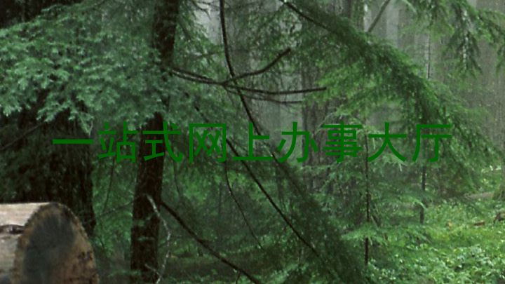 一站式网上办事大厅