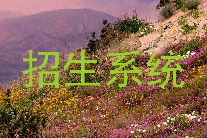 招生系統(tǒng)