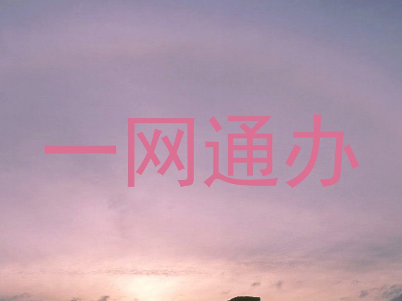 一网通办