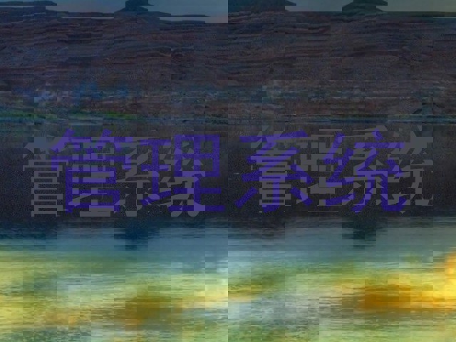 管理系统