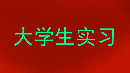 大学生实习