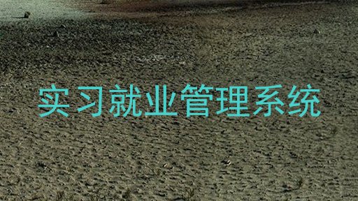 实习就业管理系统