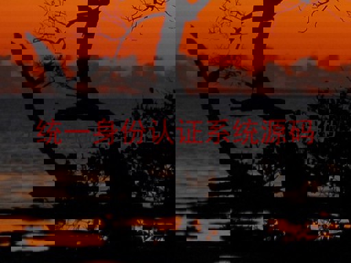 统一身份认证系统源码