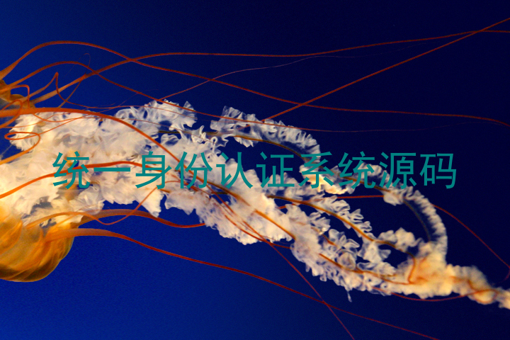 统一身份认证系统源码