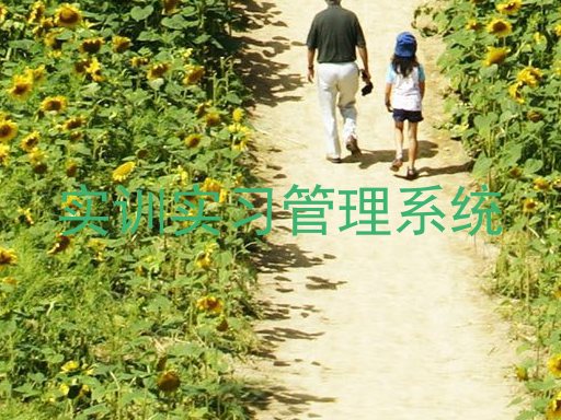 实训实习管理系统