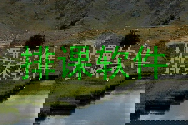 排课软件