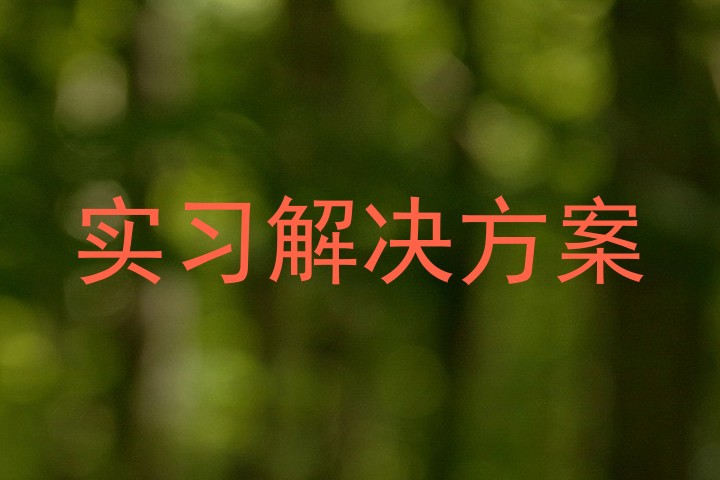 实习解决方案
