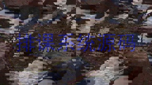 排课系统源码