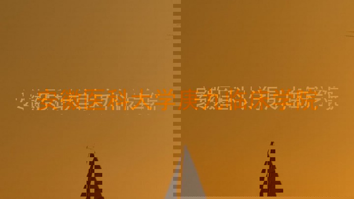 安徽医科大学庚九临床学院