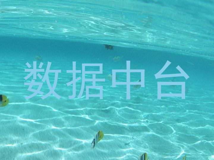 数据中台