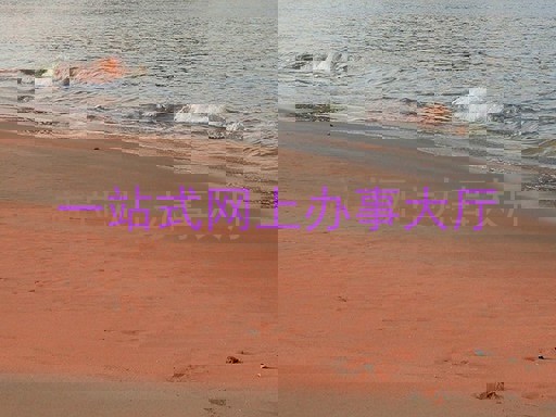 一站式网上办事大厅