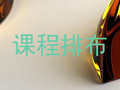课程排布