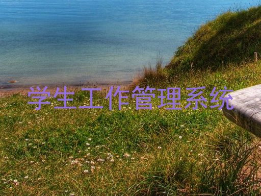 学生工作管理系统
