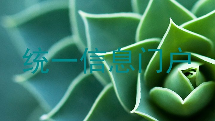 統(tǒng)一信息門(mén)戶(hù)