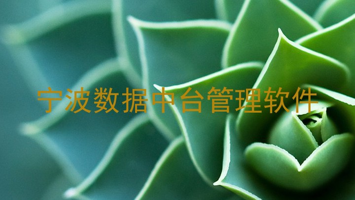 宁波数据中台管理软件