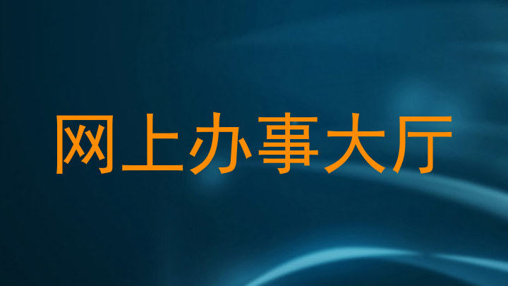网上办事大厅