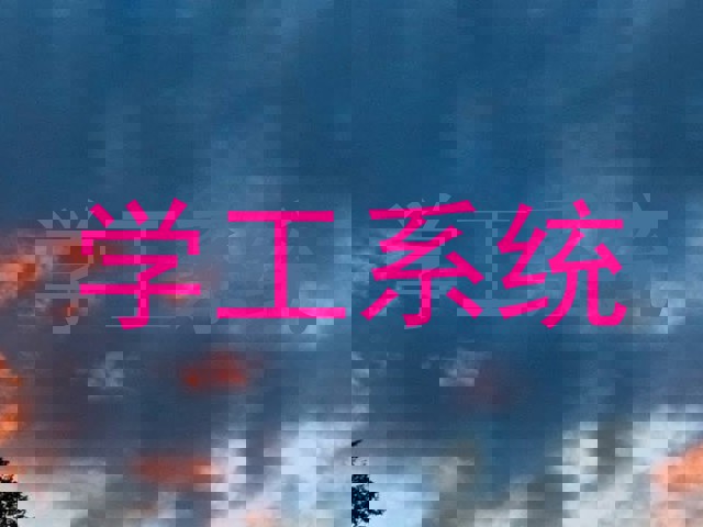学工系统