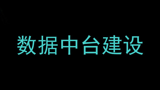 数据中台建设