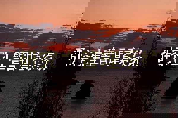 研究生管理系统