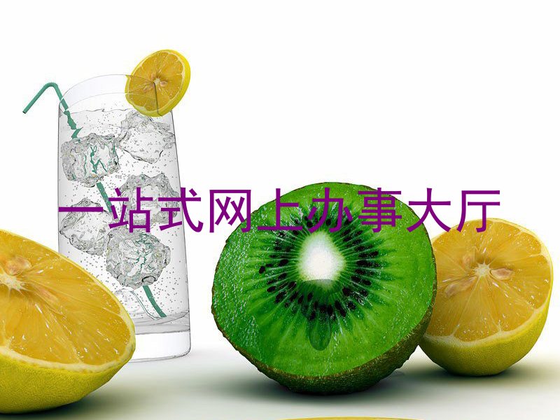 一站式网上办事大厅