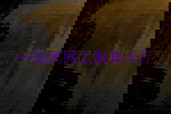 一站式网上服务大厅