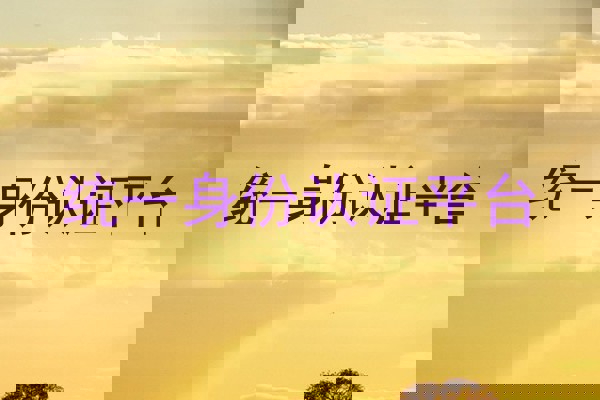 统一身份认证平台