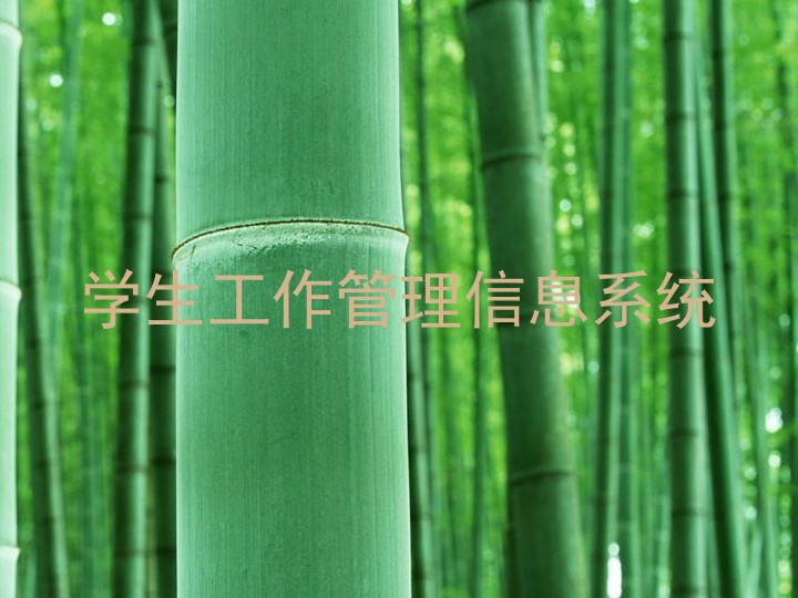 学生工作管理信息系统