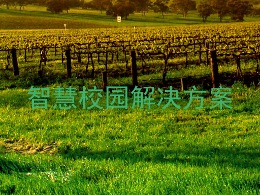 智慧校园解决方案