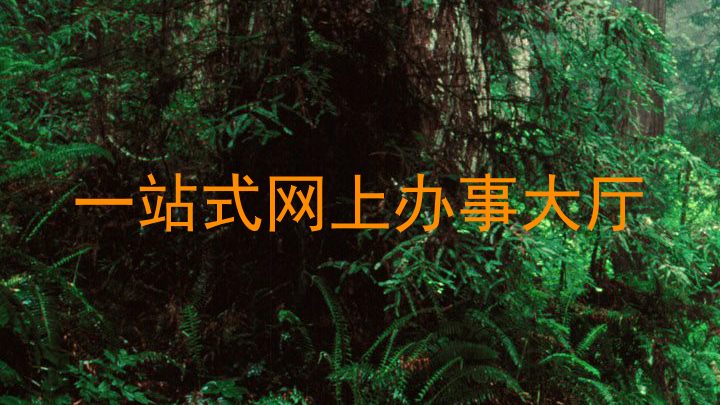 一站式网上办事大厅