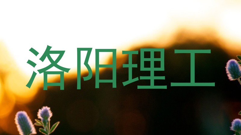 洛阳理工