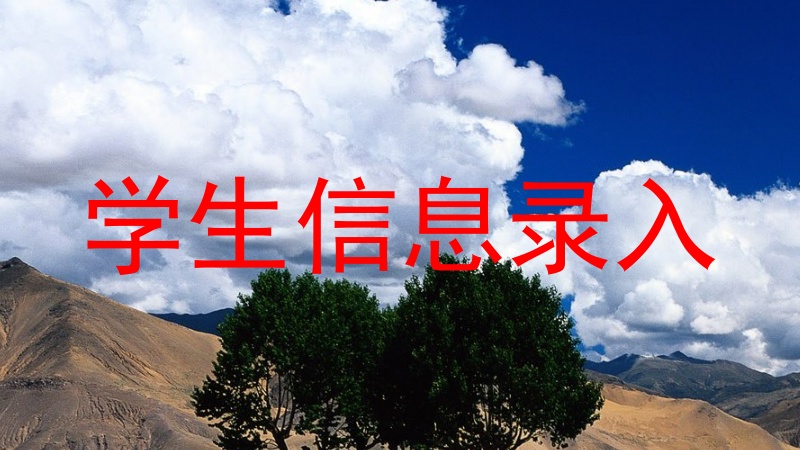 学生信息录入