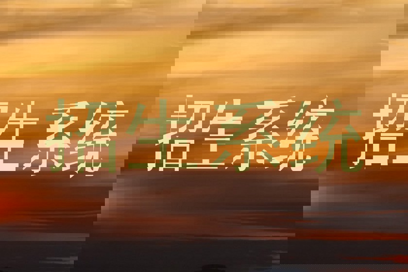 招生系统