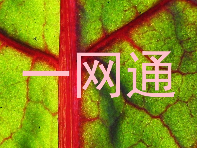 一网通