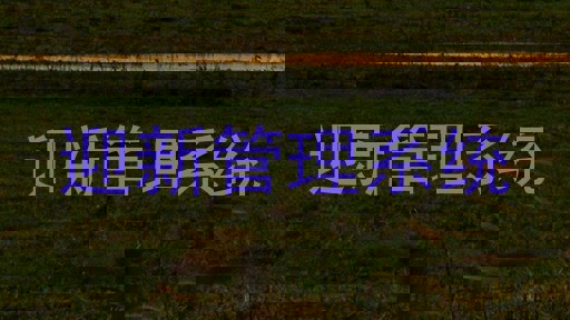 迎新管理系统