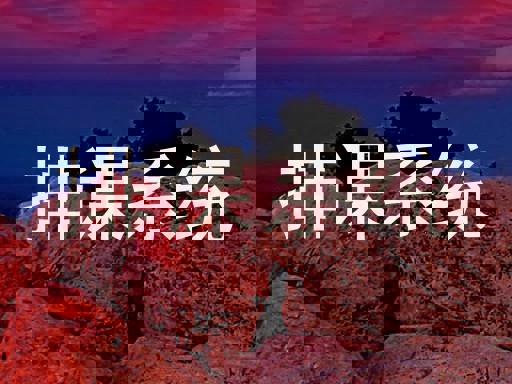 排课系统