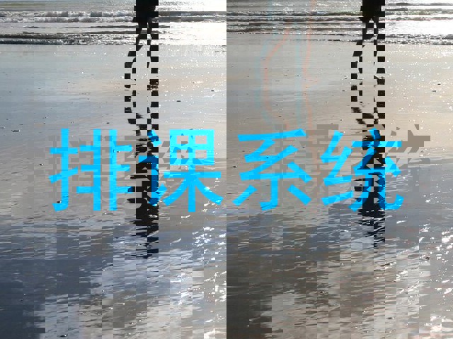 排课系统