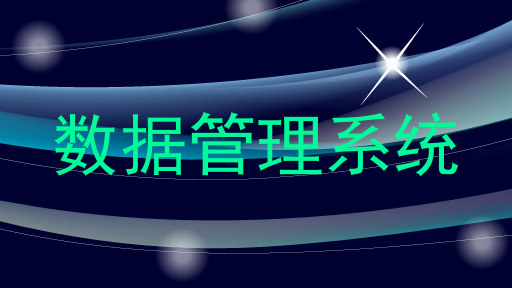 数据管理系统