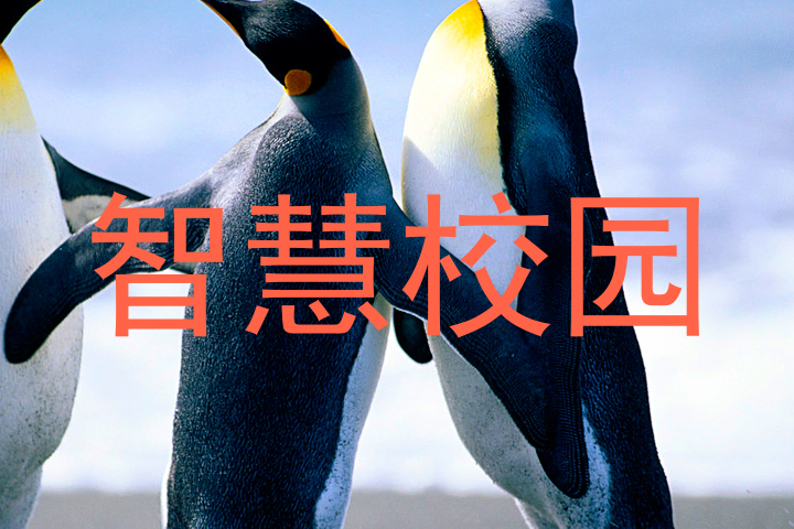 智慧校園