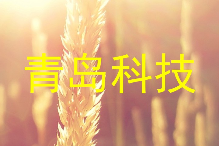 青岛科技
