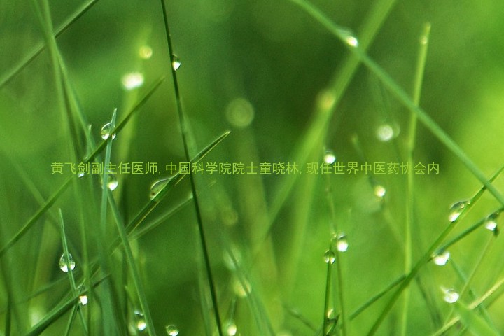 黄飞剑副主任医师,中国科学院院士童晓林,现任世界中医药协会内