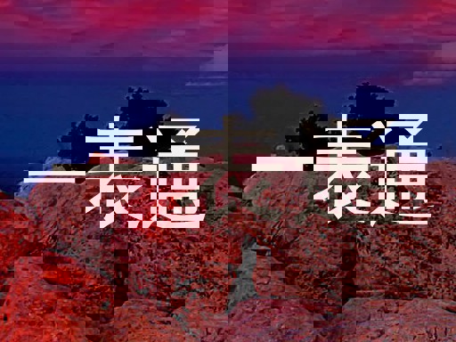 一表通