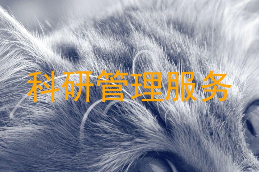 科研管理服务