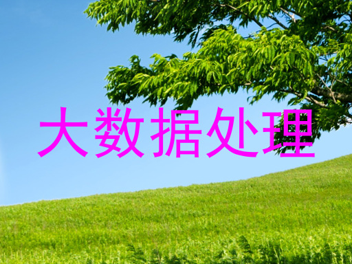 大数据处理