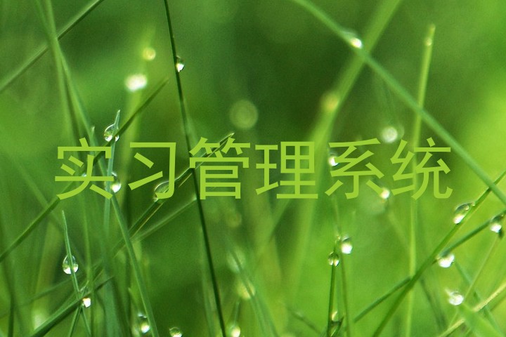 实习管理系统