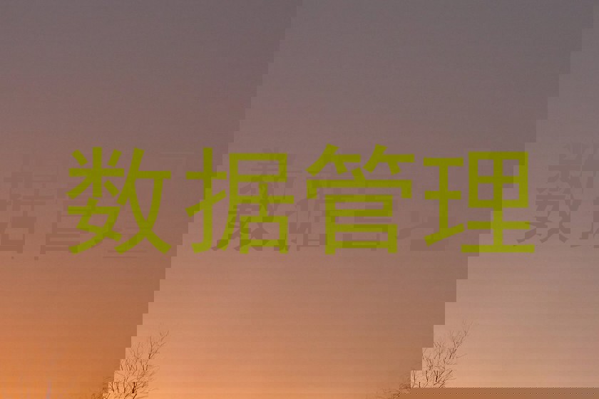 数据管理